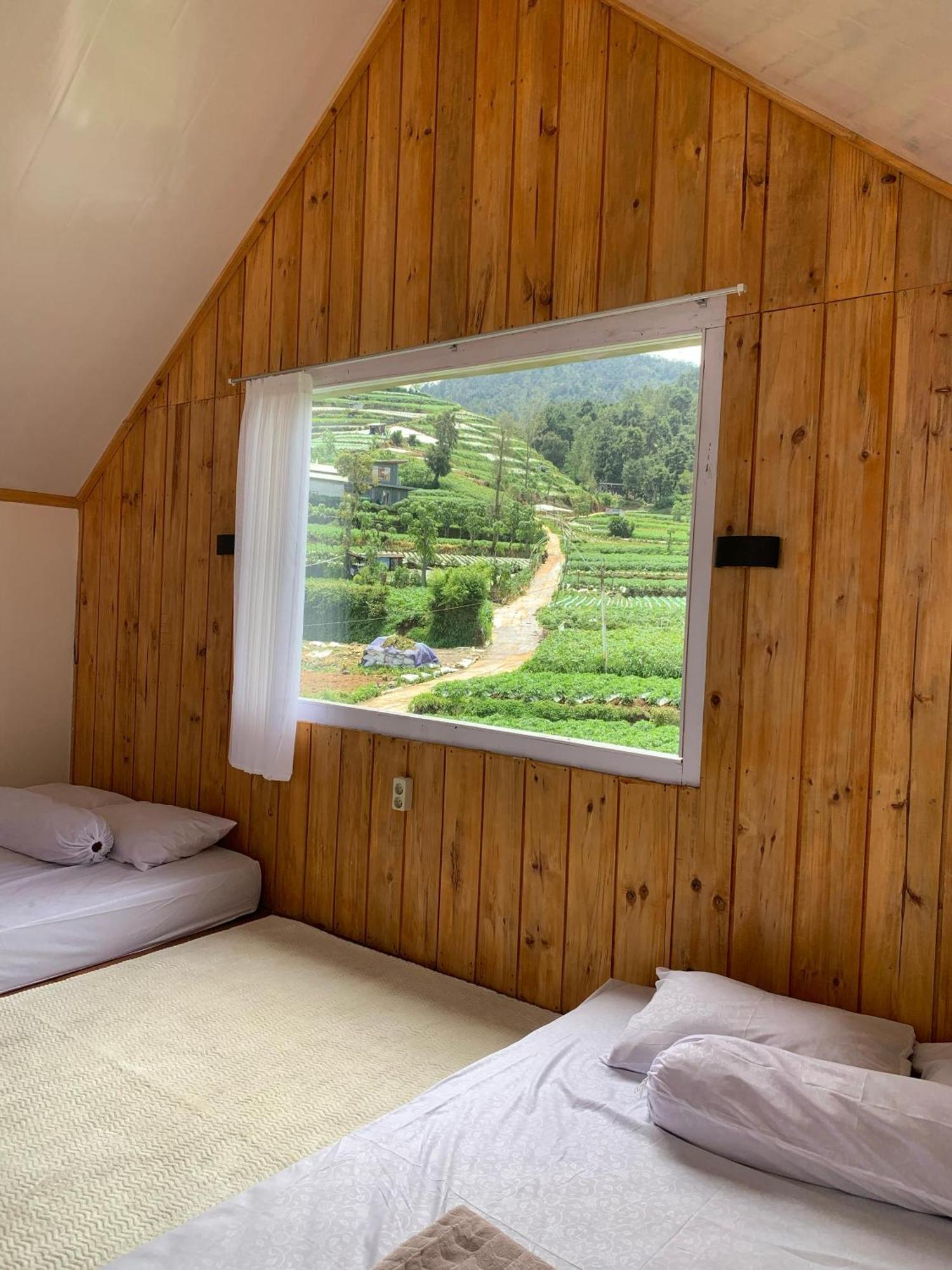 Cabin Wahyu Abadi Dieng Type Mezzanine Homestay